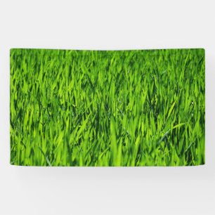 Große Grasblätter Banner
