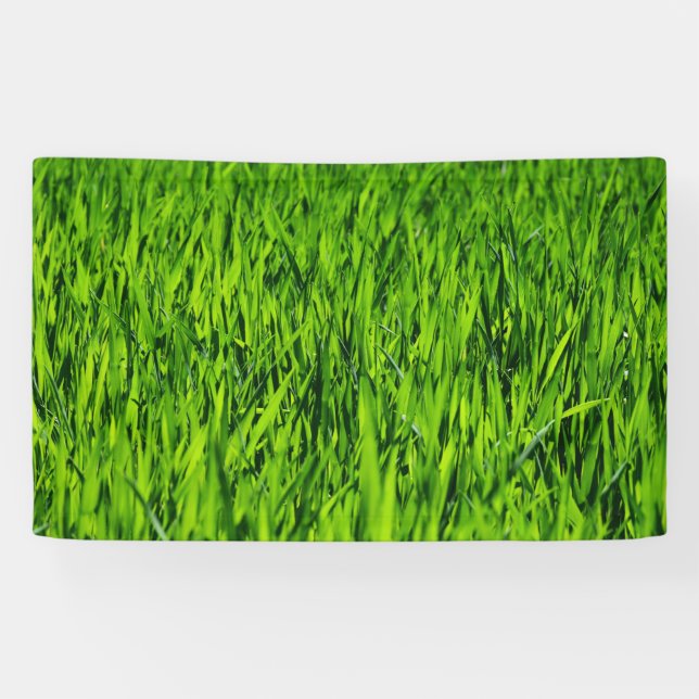 Große Grasblätter Banner (Horizontal)