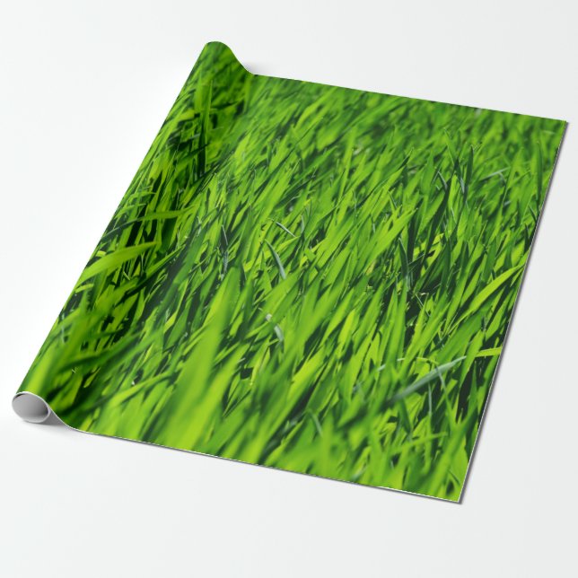 Große Grasblätter Geschenkpapier (Ungerollt)