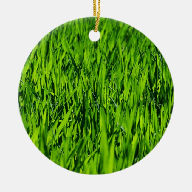 Große Grasblätter Keramik Ornament (Vorne)