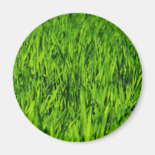 Große Grasblätter Magnet