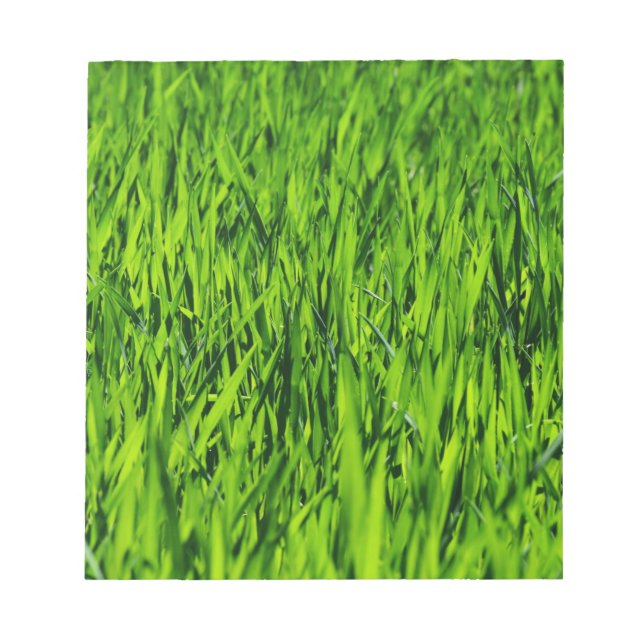 Große Grasblätter Notizblock (Vorderseite)