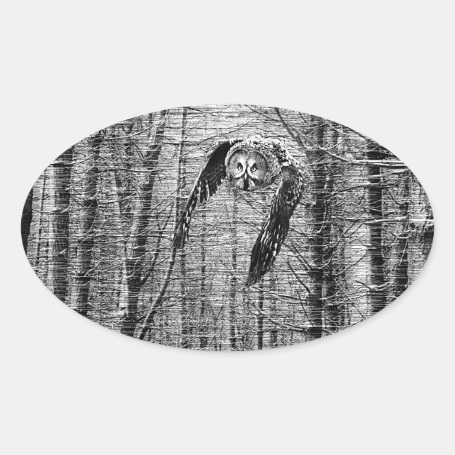Große graue Eule in schwarz-weiß Aufklebern Ovaler Aufkleber (Vorderseite)