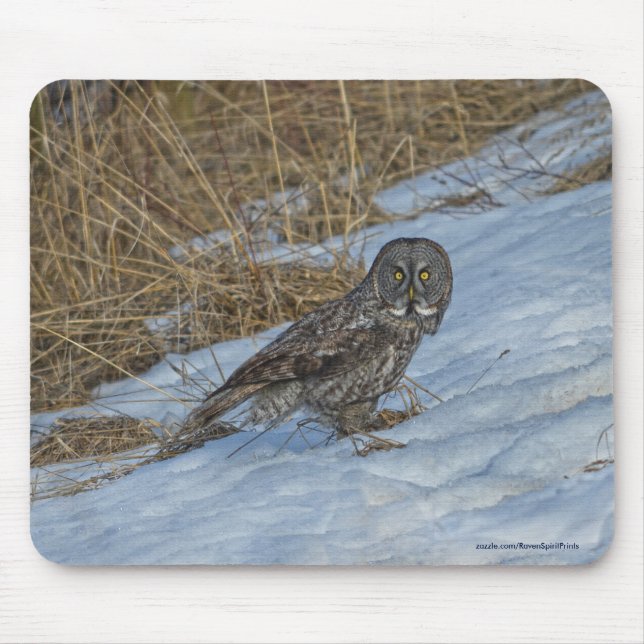 Große graue Eule und Schnee Wildlife Raptor Foto Mousepad (Vorne)