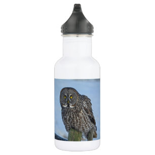 Große graue Eule und Schnee Wildlife Raptor Foto Trinkflasche
