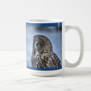 Große graue Eule und Schnee WildRaptor sitzen Tasse