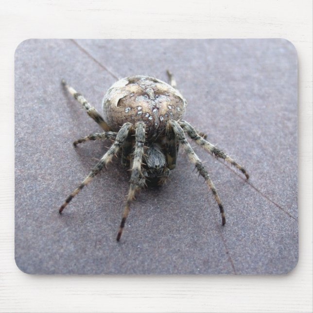 große graue Spinne Mousepad (Vorne)