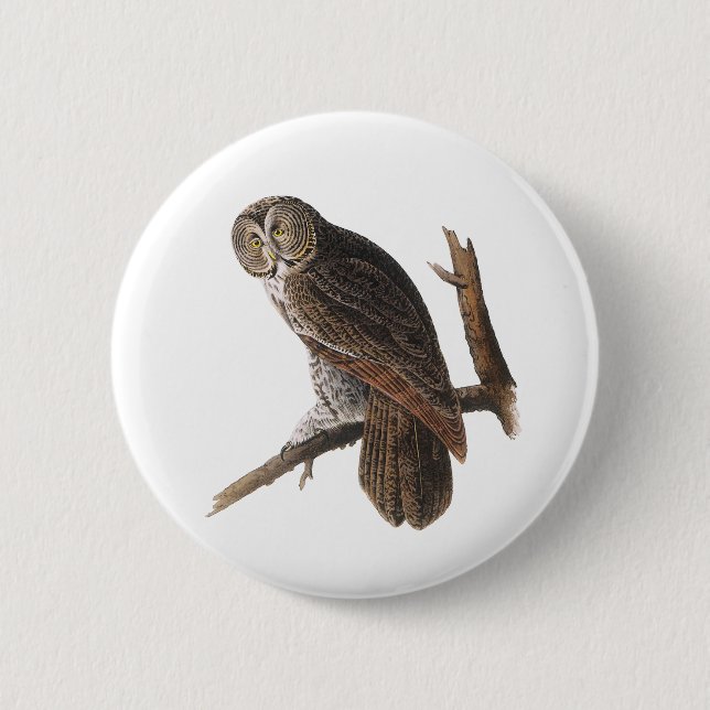 Große Grauschale Button (Vorderseite)