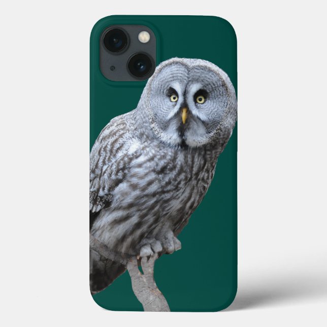 Große Grauschale Case-Mate iPhone Hülle (Rückseite)