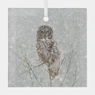 Große Grauschale im Winter Ornament Aus Glas