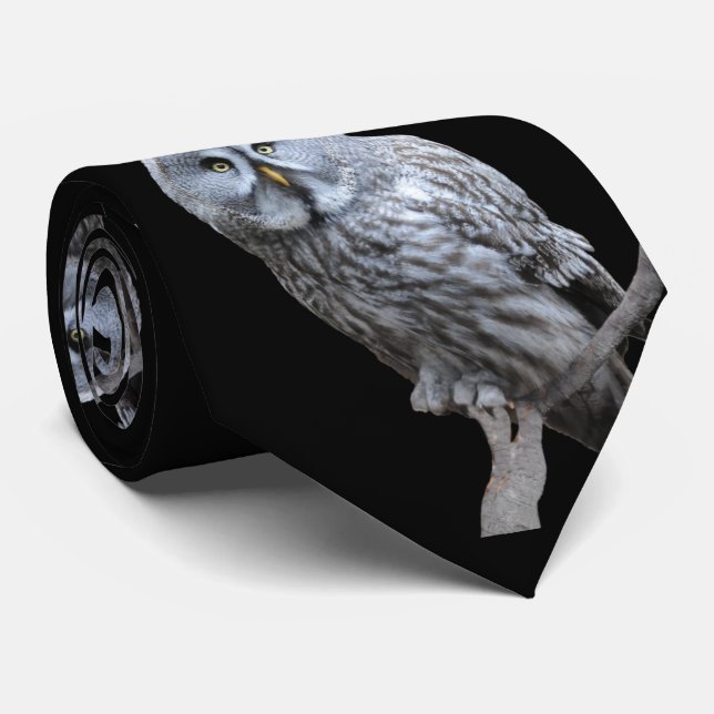 Große Grauschale Krawatte (Gerollt)