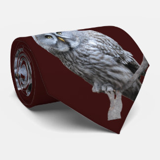 Große Grauschale Krawatte