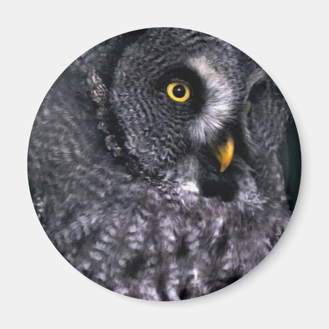 Große Grauschale Magnet (Vorne)