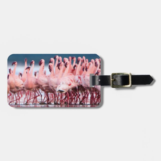 Große Gruppe kleiner Flamingos Gepäckanhänger (Vorderseite horizontal)