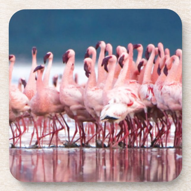 Große Gruppe kleiner Flamingos Getränkeuntersetzer (Vorderseite)
