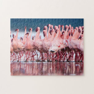 Große Gruppe kleiner Flamingos Puzzle