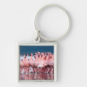 Große Gruppe von Zwergflamingos Schlüsselanhänger