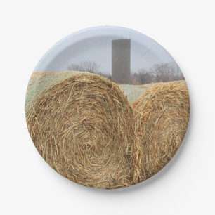 Große Heuschnupfen auf dem landwirtschaftlichen F Pappteller