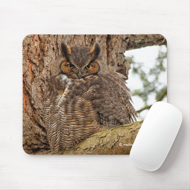 Große Horned Owl im Douglas Fir Mousepad (Mit Mouse)