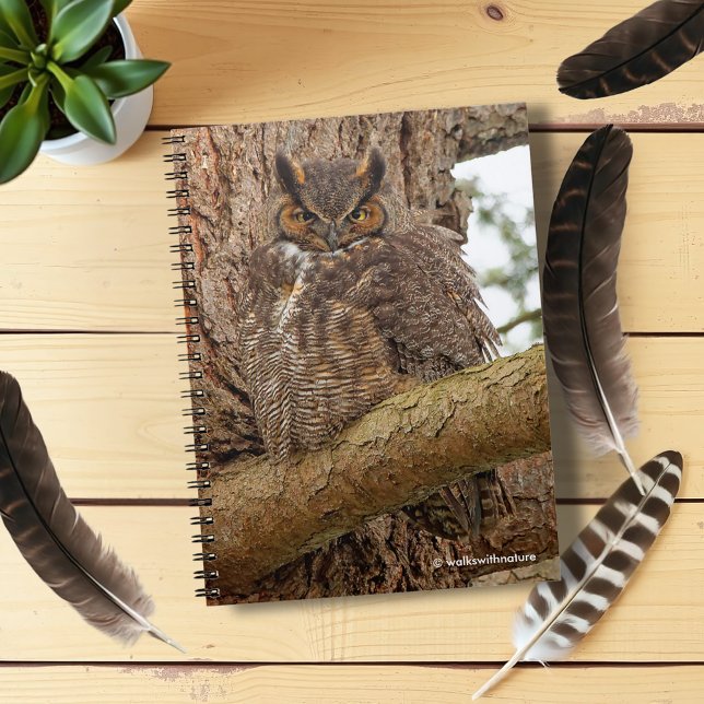 Große Horned Owl im Douglas Fir Notizblock (Great Horned Owl in a Douglas Fir Journal Cover Photo)