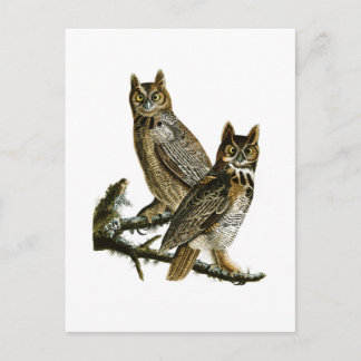 Große Horned Owl John Audubon Birds of America Postkarte