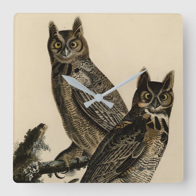 Große Horned Owl von Audubons Vögeln von Amerika Quadratische Wanduhr (Vorderseite)
