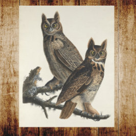 Große Horned Owls Spooky Vintage Illustration Poster
