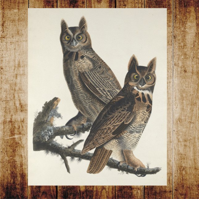 Große Horned Owls Spooky Vintage Illustration Poster (Von Creator hochgeladen)