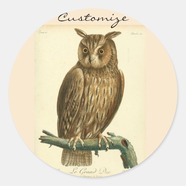 Große Horned OwlThunder_Cove Runder Aufkleber (Vorderseite)