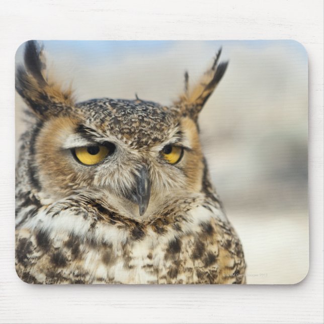 Große Hornschale (Bubo virginianus) Mousepad (Vorne)