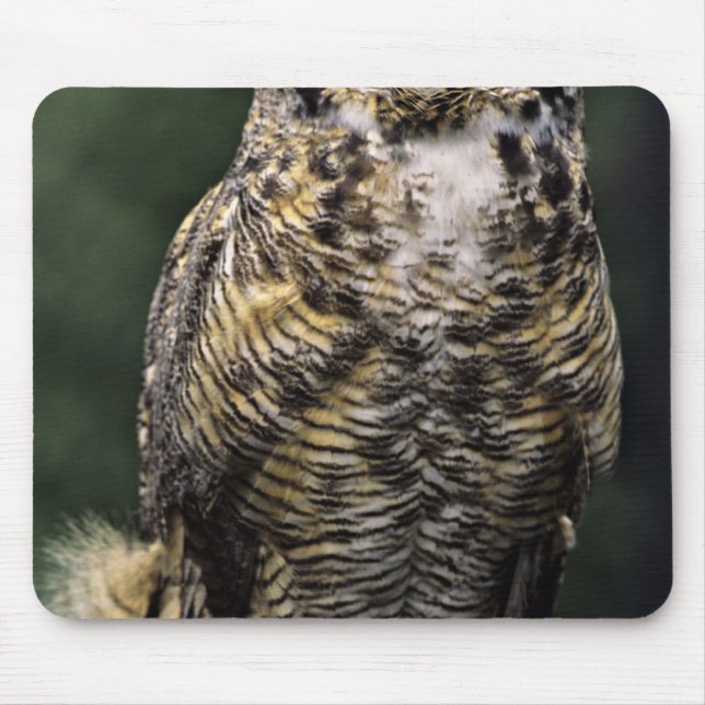 Große Hornschale (Bubo virginianus), Vollkörper Mousepad (Vorne)