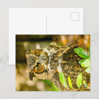 Große Hornschale Postkarte