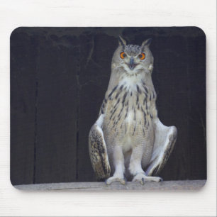 Große Horse Mousepad