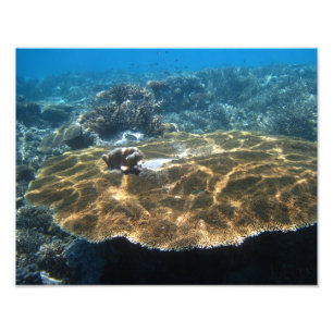 Große Hürde Fotodruck