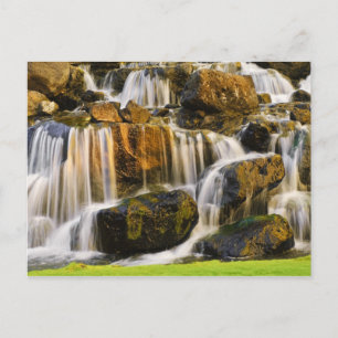 Große Insel, Hawaii. Kaskadierter Bach, Große Inse Postkarte