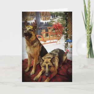 GROSSE KARTE FÜR JEDEN, DER FÜR IHREN HUND SORGT