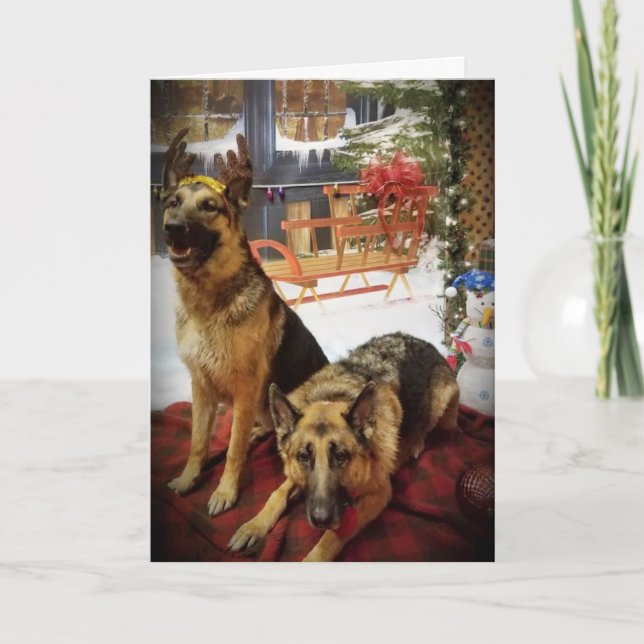 GROSSE KARTE FÜR JEDEN, DER FÜR IHREN HUND SORGT (Vorderseite)