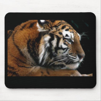 Große Katze Mousepad