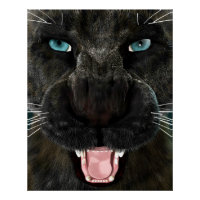 Große Katze Schwarzer Panther