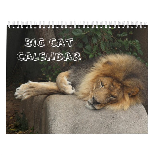 Große Katze wählen Ihr Jahr Kalender (Titelbild)