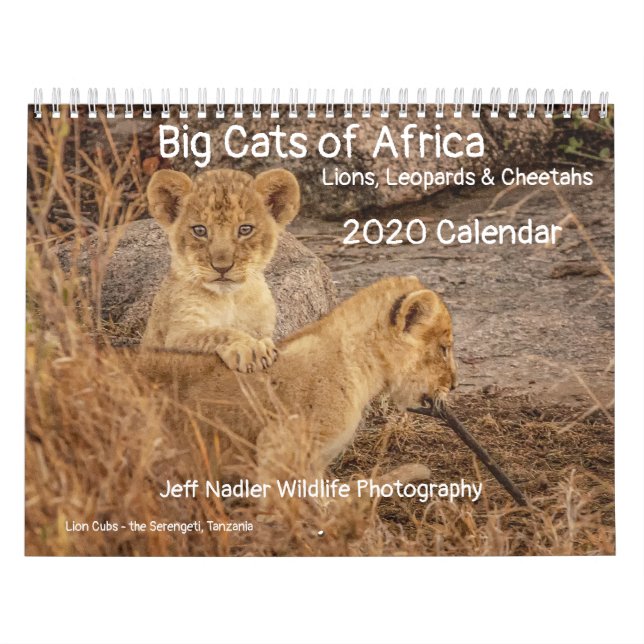 Große Katzen Afrikas: Löwen, Leoparden 2020 Kalender (Titelbild)