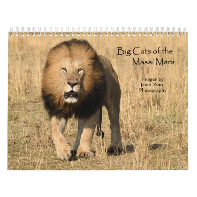 Große Katzen des Masai Mara, Kenya-Kalender Kalender (Titelbild)