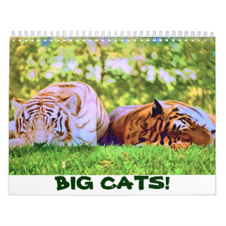 GROSSE KATZEN! Kalender