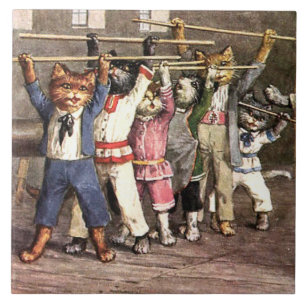 Große Keramik Tile Übung Kitty Cats! Funny! Fliese
