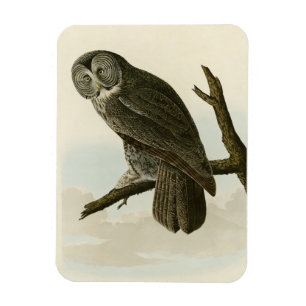 Große krummige Schale von Audubon Vögeln in Amerik Magnet
