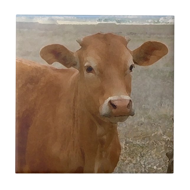 Große Kuh-Augen - rotes Vieh Fliese (Vorderseite)