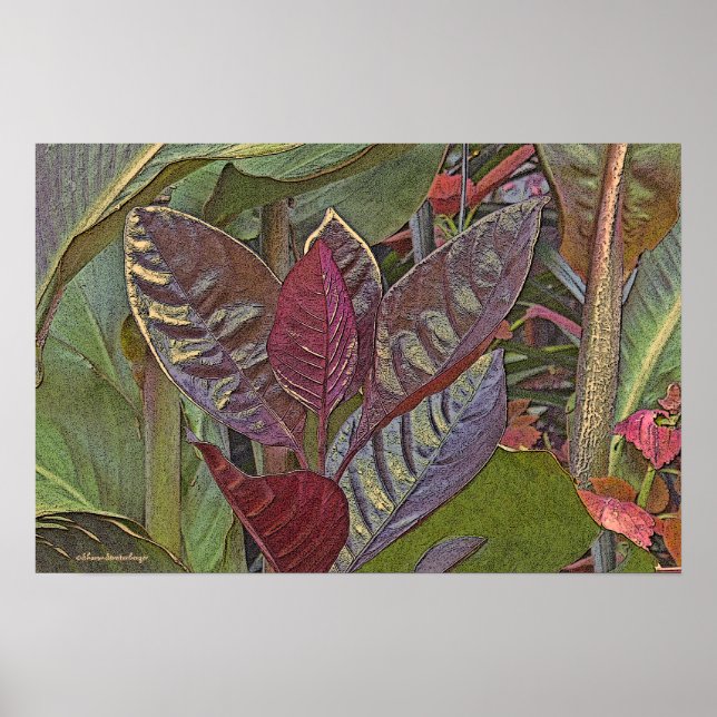 " GROSSE LEATHERY RED-BROWN PFLANZE BLÄTTER" (FOTO POSTER (Vorne)
