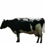 Große Milchkuh-Skulptur Freistehende Fotoskulptur<br><div class="desc">Große Milchkuh-Skulptur. Ein Foto einer großen Molkereimilchkuh. Ob auf Ihrem Schreibtisch im Büro oder im Wohnzimmer, diese große Kuh-Fotoskulptur ein wirkliches Stück decorational Kunst ist! Oder benutzen Sie diese Kuh als Namenszeichen für Ihre Molkerei! Fügen Sie hinzu und personifizieren Sie mit Ihren eigenen Texten und Bildern! Der einzigartiges und großes...</div>