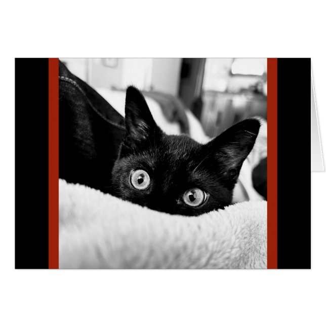 Große Mit Augen Mitteilungskarten (Vorderseite (Horizontal))