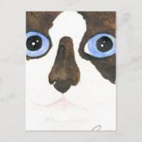 Große Mit Augen Schneeschuhkatze Postcard